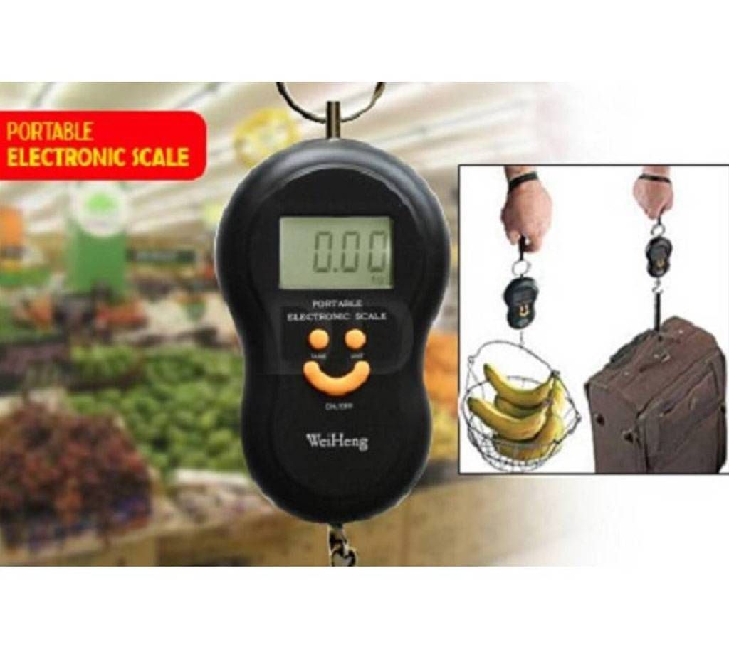 Portable Hand Electronic Scale 50 KG Max