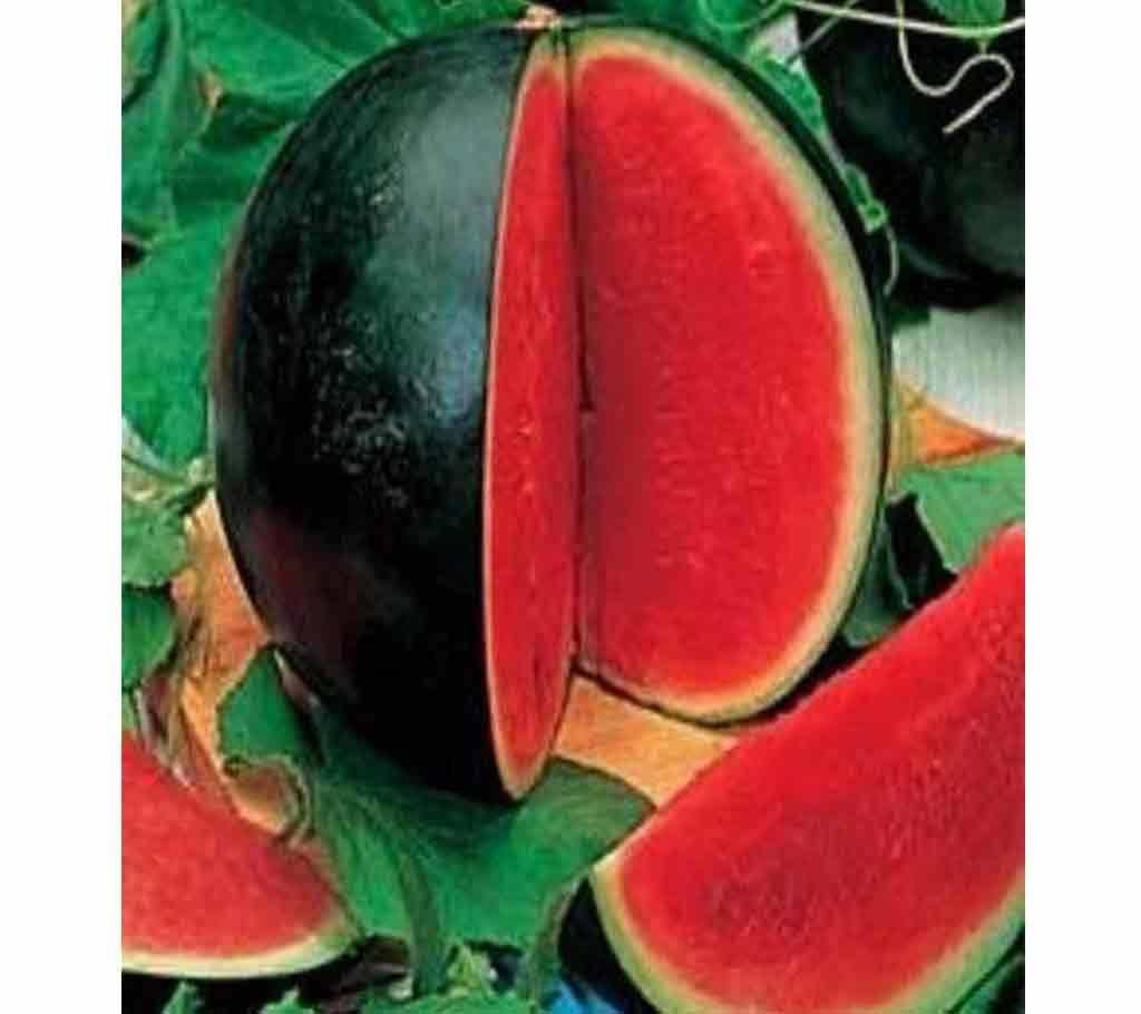 Fruit Watermelon Mini Size Seeds - 5 piece - Dark Green and Red- BD 