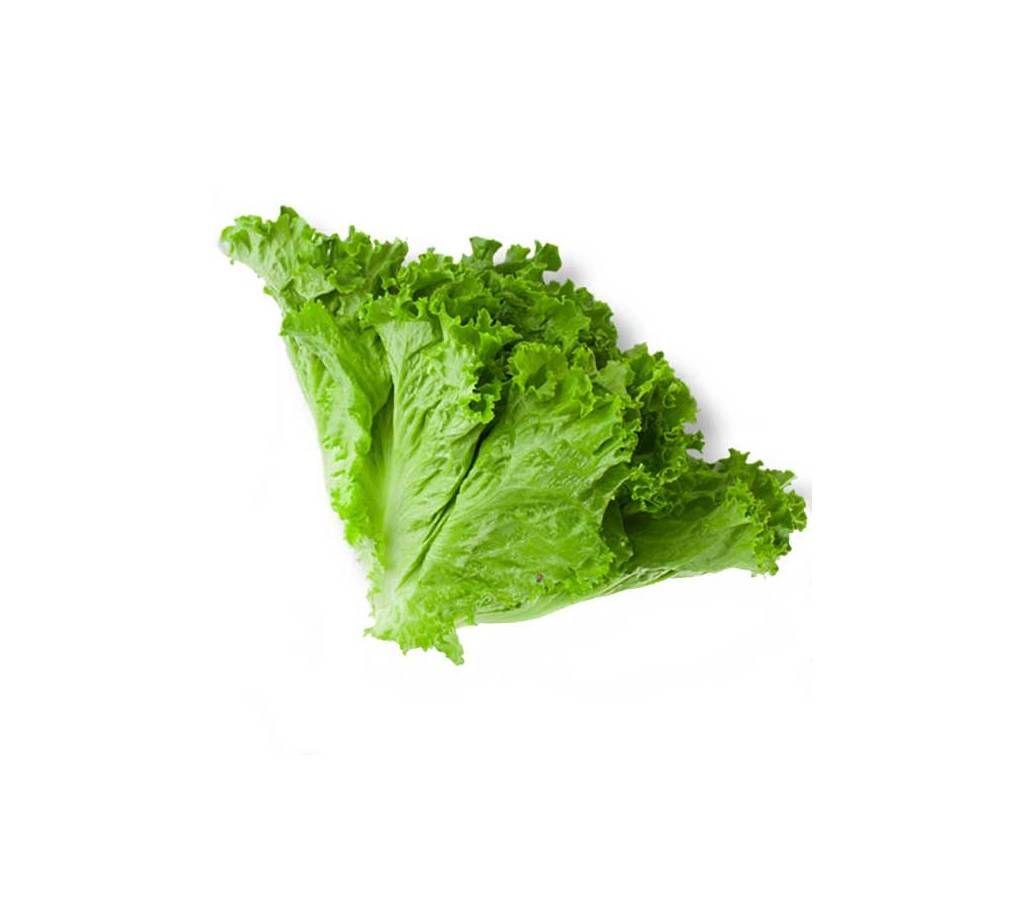 Lettuse Seed