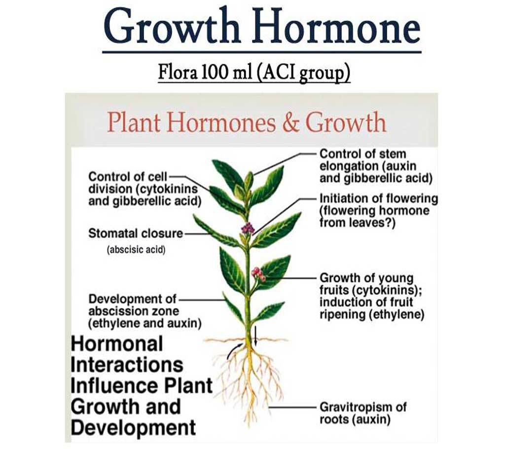 Growth Hormone (Flora 100 ml)