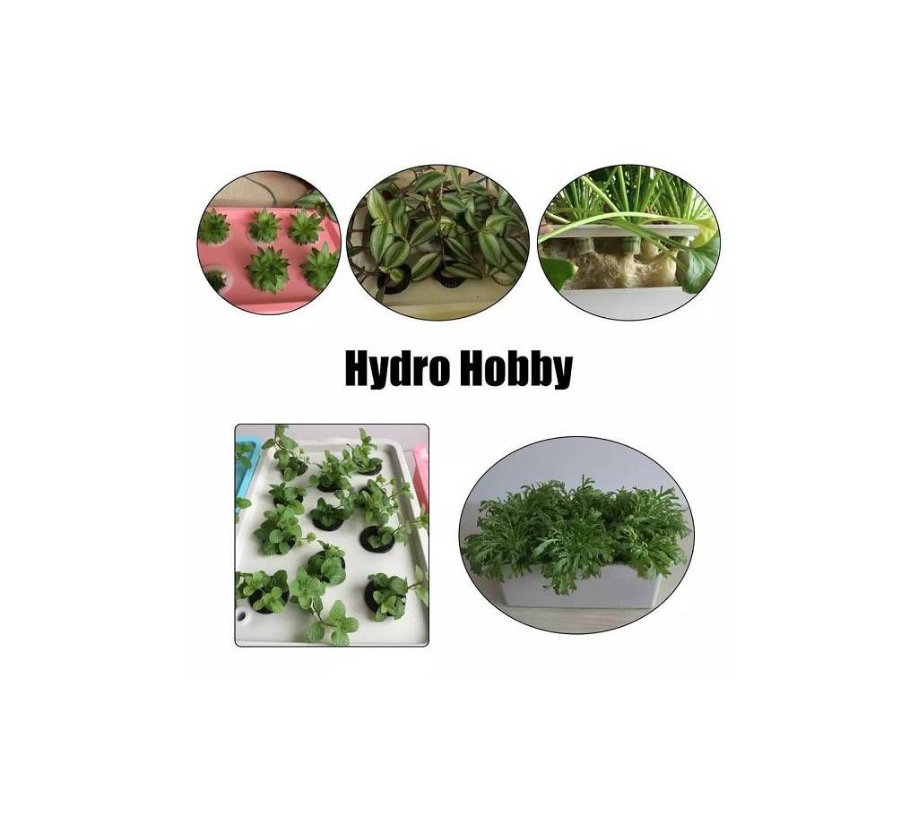 Hydroponic Garden Pots