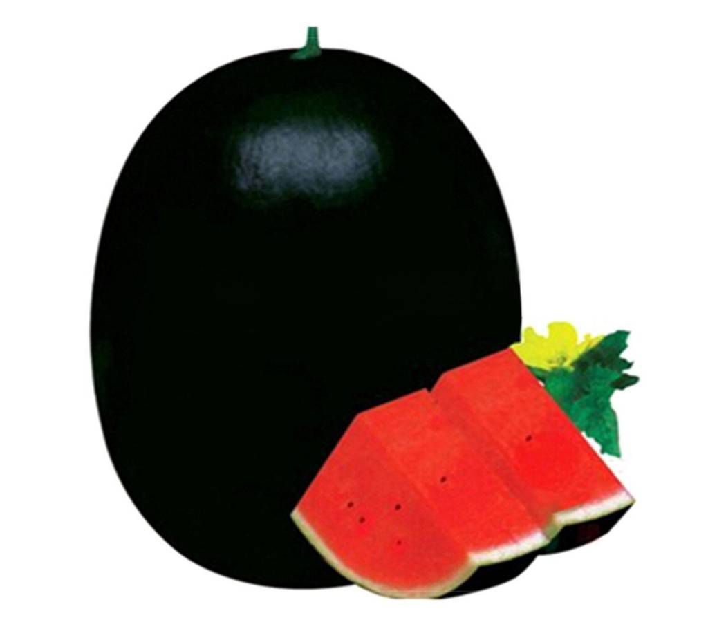 Fruit Watermelon Big Size Seeds - 10 piece - Dark Green and Red