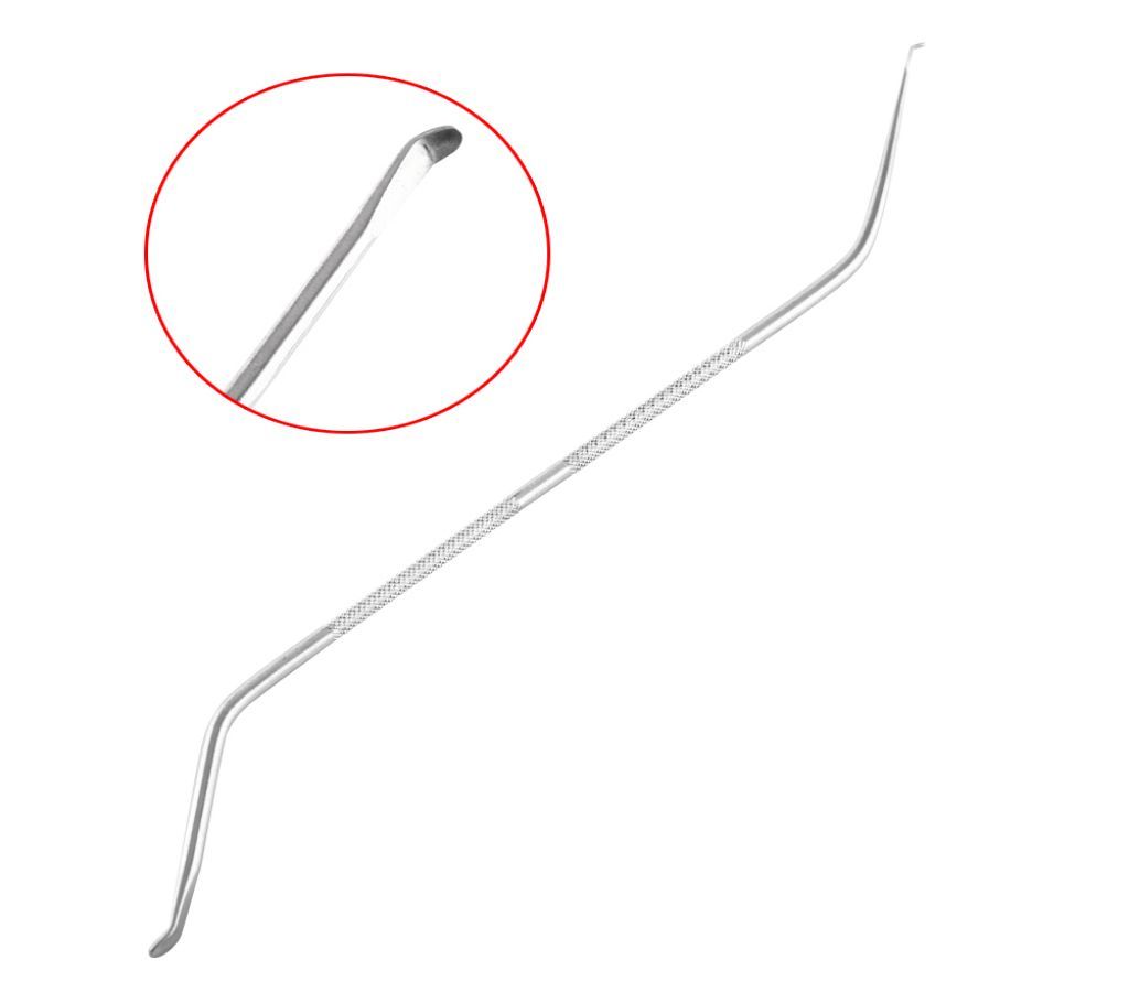Needle Queen Bee Larva