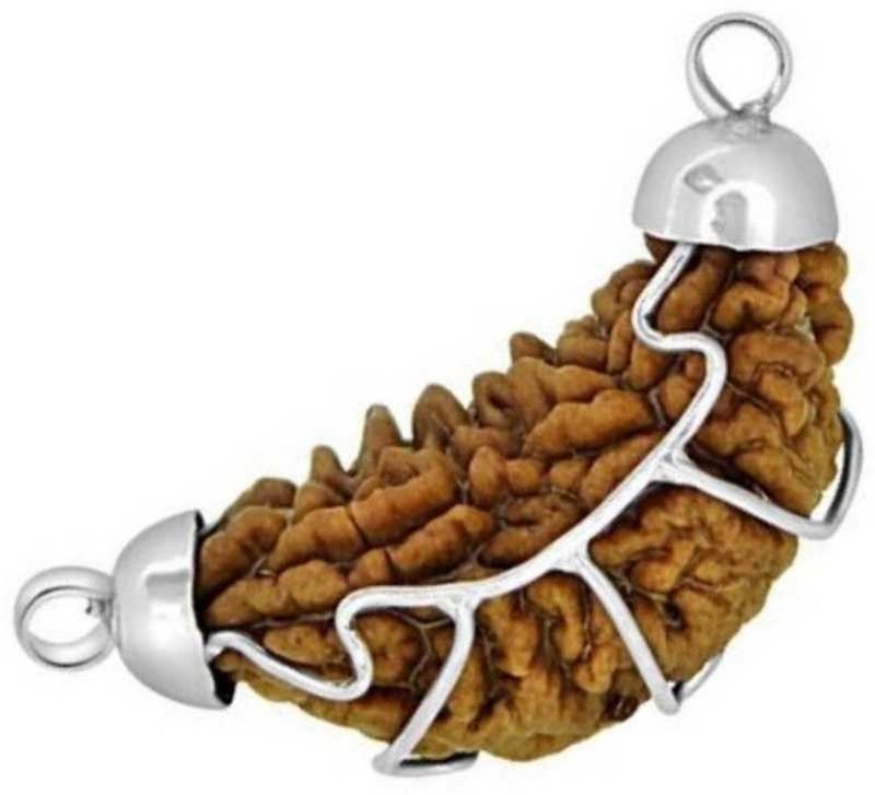1 Mukhi Lab Certified Genuine & Authentic Rudraksha | One Face | Ek Mukhi Pendant With Lab Certificate (White Metal Pendant) (1 Pc) Wood, Metal Pendant Silver Wood Pendant