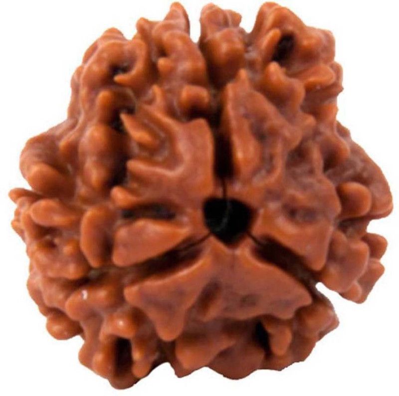 Certified Natural Three Mukhi (3 face) Rudraksha With Lab Tested Certificate Wood Pendant