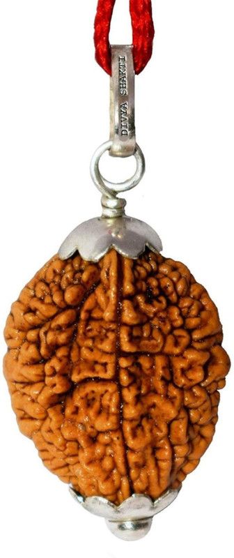 Divya Shaki Nepali 2 Mukhi Rudraksha Pendant (Two Faced Rudraksh) 15 M.M Metal Pendant