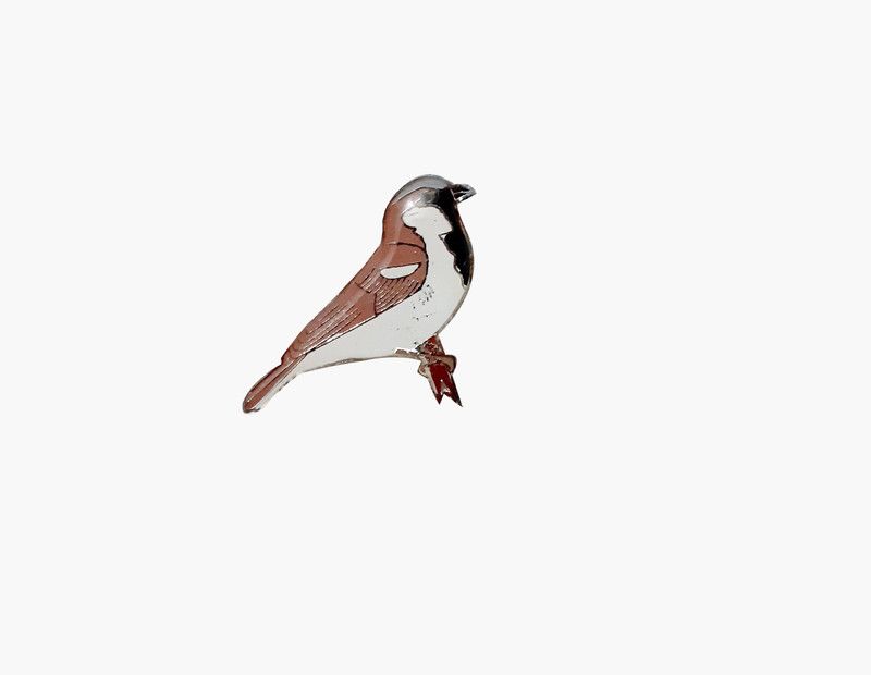 WILD CORNER BROOCH Brooch  (Multicolor)