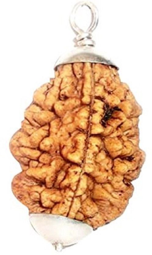 Original 2 Mukhi Rudraksha Silver Wood Pendant