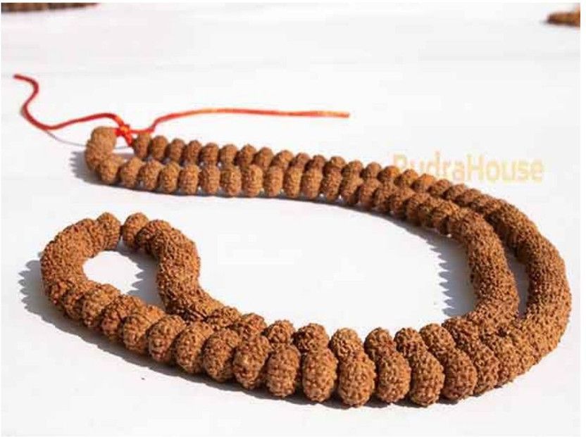 EIGHT 8 MUKHI RUDRAKSHA MALA 108+1 (CERTIFIED AND NEPAL ORIGIN) Alloy Necklace