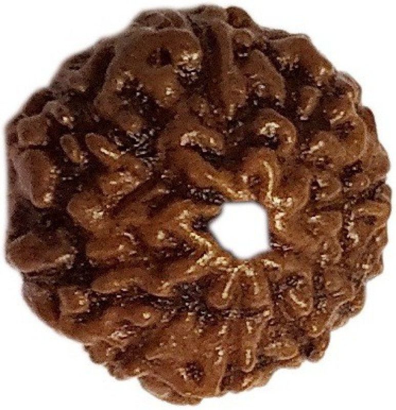 Nine Face Rudraksha 9 Mukhi Wood Pendant