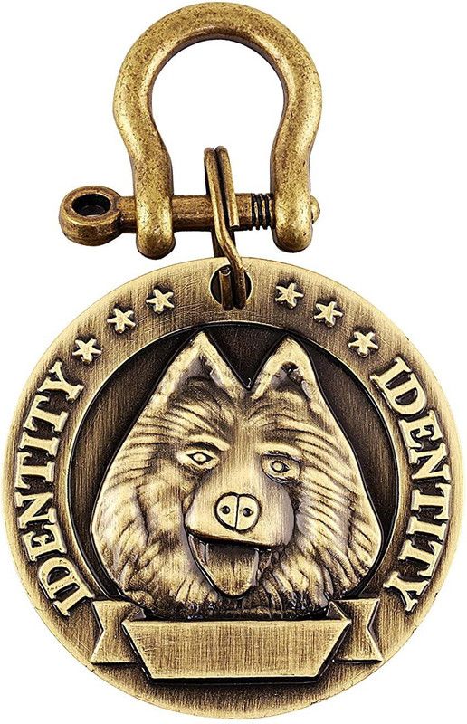 Round Shape Print Tag Cum Collar Charm for Dog and Puppy (Antique Golden) Engraved Gold Dog Tag