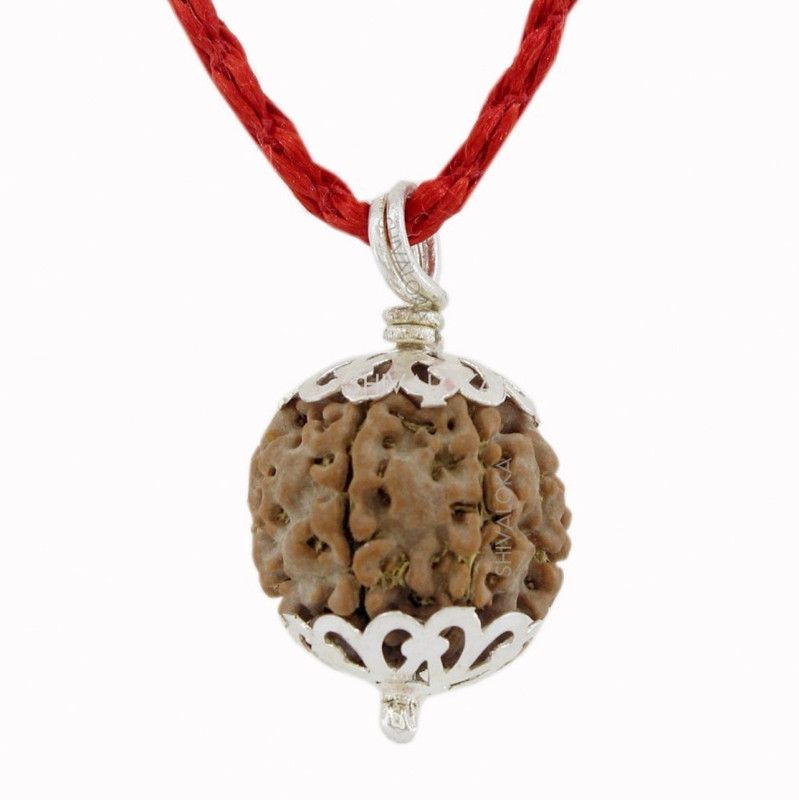 4 Mukhi Rudraksha ( Nepal ) Silver Wood Pendant