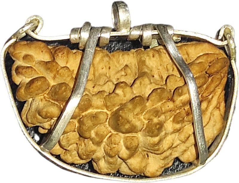 1 Mukhi Rudraksha Original Certified AAA Plus by Nepali Rudraksh Mother of Pearl Pendant