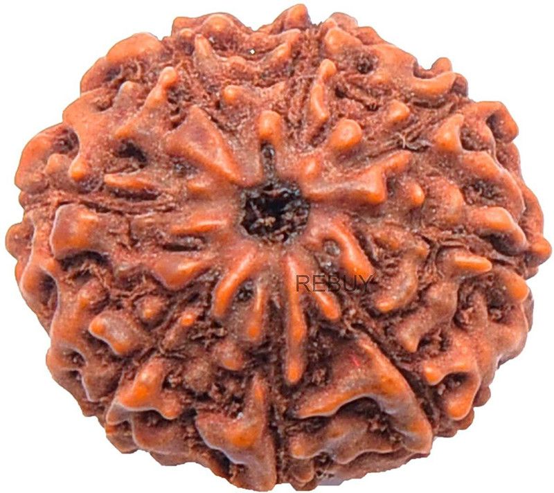 A&S Ventures 8 Mukhi Rudraksha Bead Indonesian/Java Eight Face Rudraksha Silver