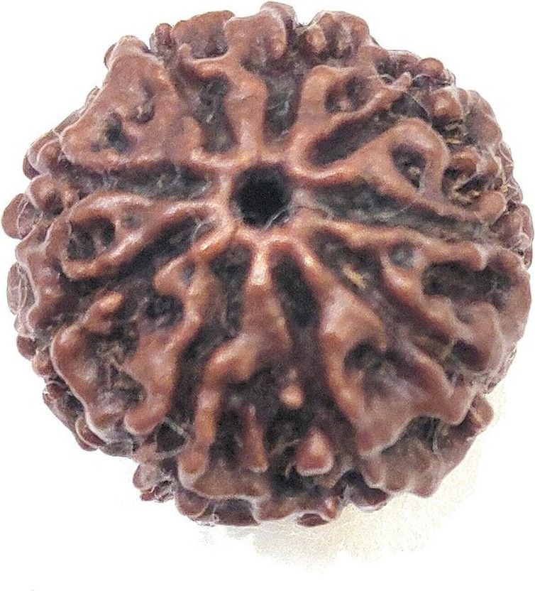 Original Nine Face Rudraksha Wood Pendant