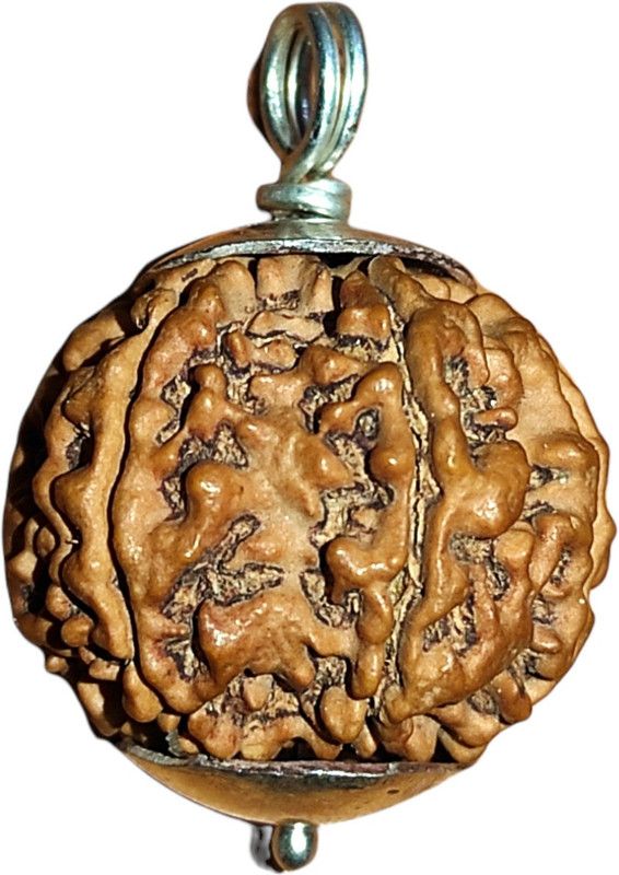 7 Mukhi Rudraksha Original IGL Certified with Pure Silver Capping Mother of Pearl Choker