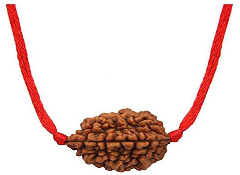 2 Mukhi Face Rudraksha Two Face Pendant With Lab Report Original Wood Pendant Wood Pendant