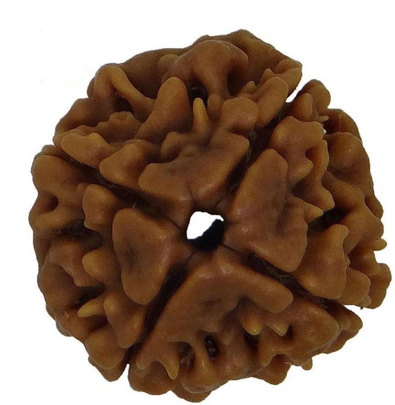 Brown Non-Precious Metal Rudraksha 4 Mukhi Nepali Rudraksha Certified 4 Faced Rudraksha for Men and Women Wood Pendant