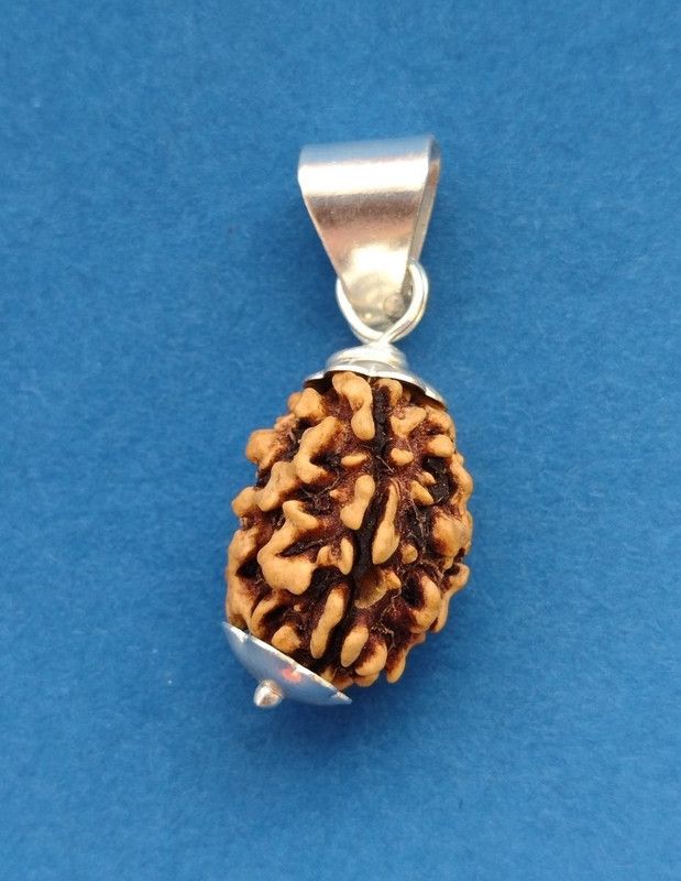 3 Mukhi / Face Rudraksha Pendant Silver Wood Pendant