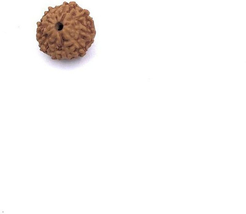 9 mukhi rudraksha Beads Wood Pendant