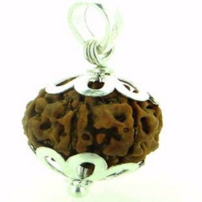 3 Mukhi Nepali Rudraksha Silver Cap Silver Wood Pendant
