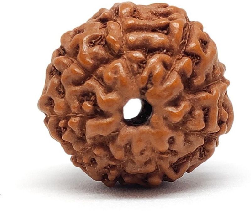 9 Mukhi (Face) Indonesia Rudraksha Wood Pendant