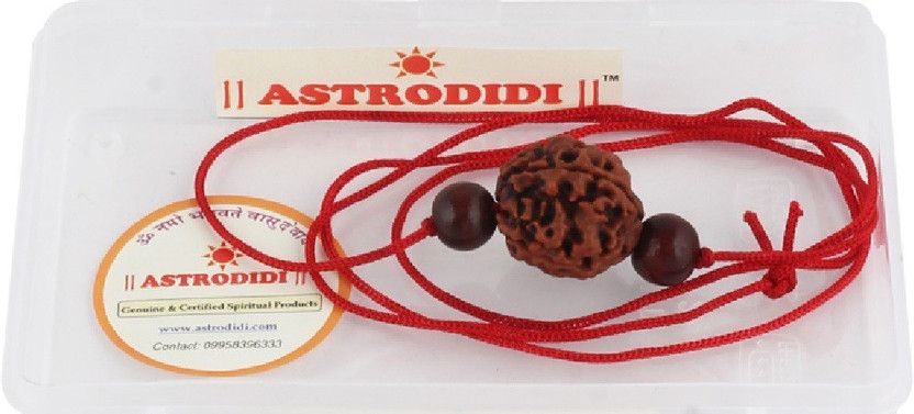 4 Mukhi Rudraksha / Four Face Rudraksha With Red Chandan Beads Wood Pendant