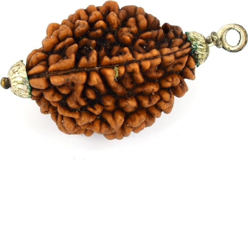 Two Mukhi Nepali Rudraksha Silver Silver Wood Pendant