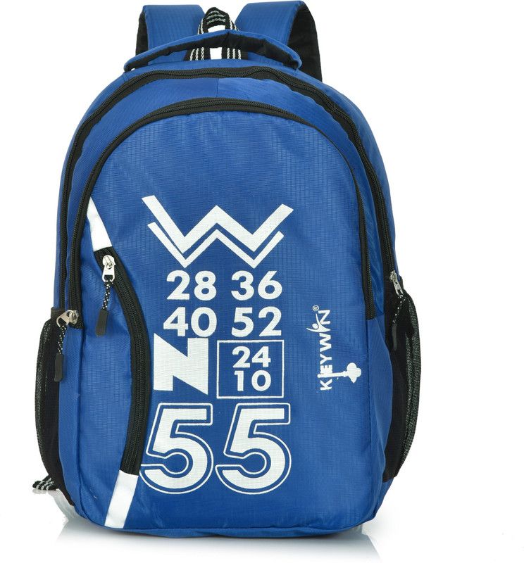 Large 50 L Laptop Backpack Latest And Stylish Backpack For School And Collage  (Blue)