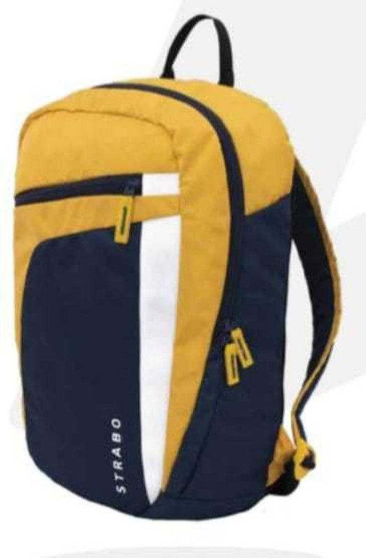 Small 20 L Laptop Backpack Chroma 20 L Back Bag  (Multicolor)