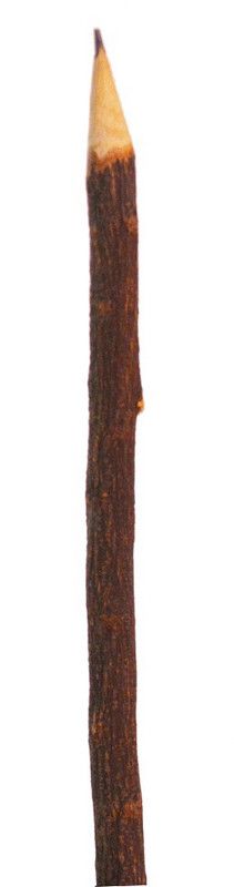 Santarms Neem Wooden Pencil Pencil  (Wooden color)