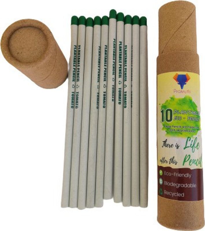 Prakruthi Pulp Art Eco-FriendlY Pencils for Children Pencil  (Set of 10, Multicolor)