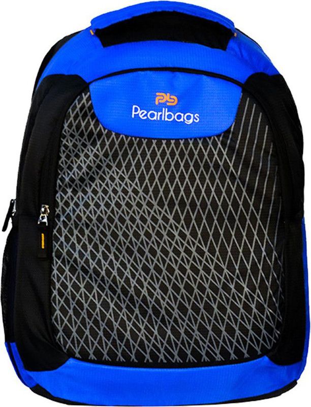 Medium 21 L Laptop Backpack Castle  (Blue)
