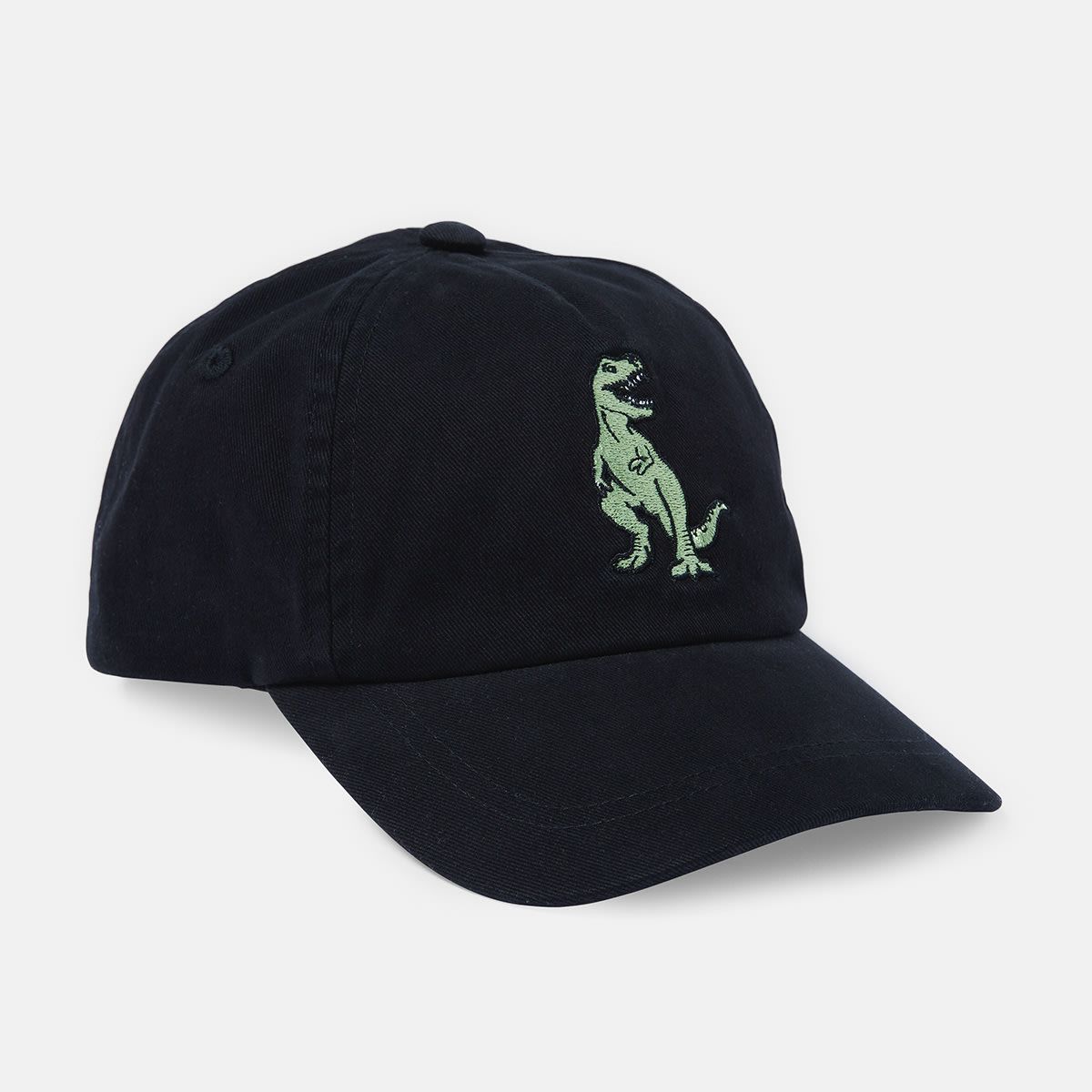 Dinosaur Cap