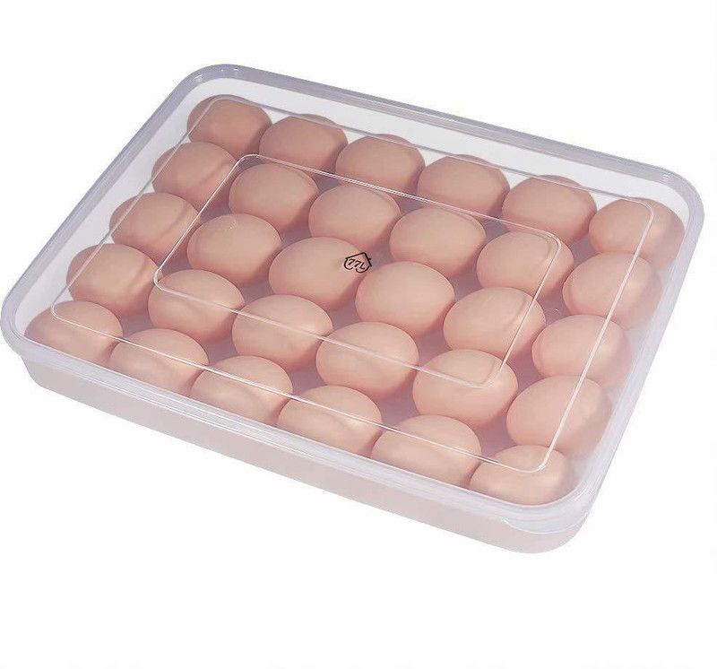 NMS TRADERS 24 grids Clear Plastic Egg Storage Box Holder Refrigerator with Lid Fridge Egg Holder Tray Bin Container - 2 dozen Plastic Egg Container  (Multicolor)