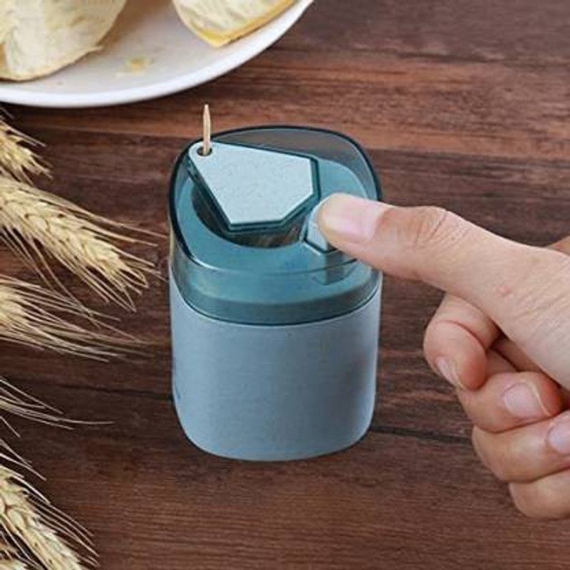 KIDMAGINE Toothpick Holder  (Pack of 1)