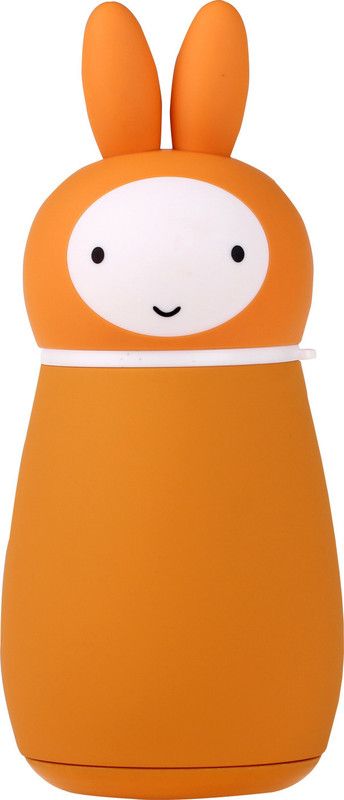 aaravision RABIORAGNE001 260 ml Flask  (Pack of 1, Orange, Steel)