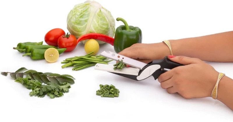 TTS Vegetable & Fruit Chopper  (1 unit)