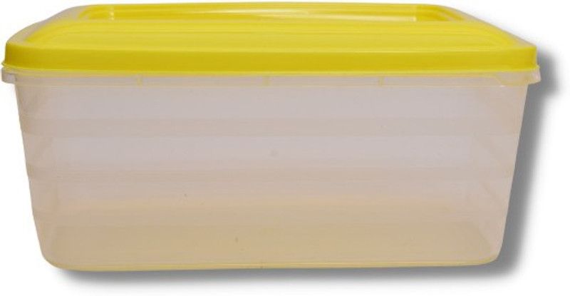 Paras Homeware Plastic Fridge Container - 300 ml  (Multicolor)