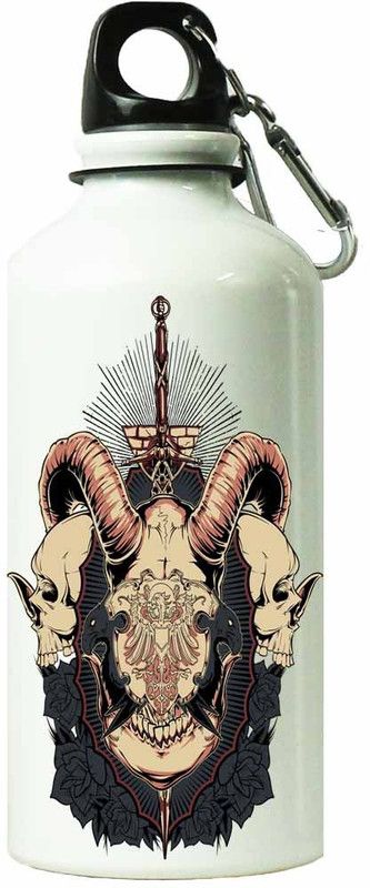 ShopBuzz Big Dragon Sipper Bottle 600 ml Bottle  (Pack of 1, Multicolor, Steel)