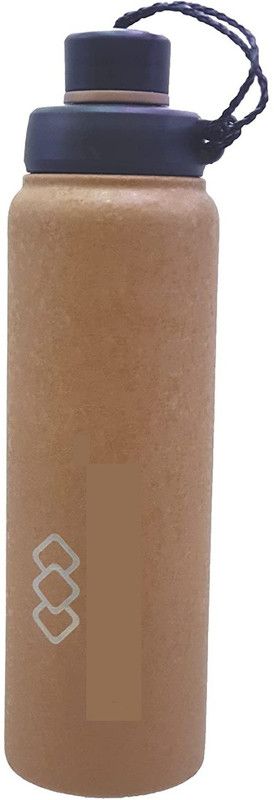 INDIA MOL FROST BOTTLE 750 ML BROWN 750 ml Bottle  (Pack of 1, Brown, Steel)