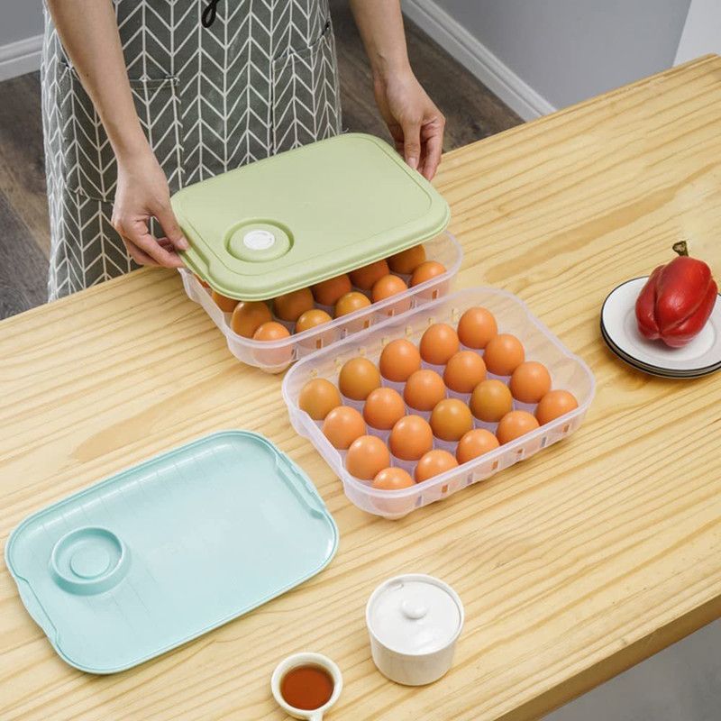 homenity Multi Slot Egg Holder  (Plastic)