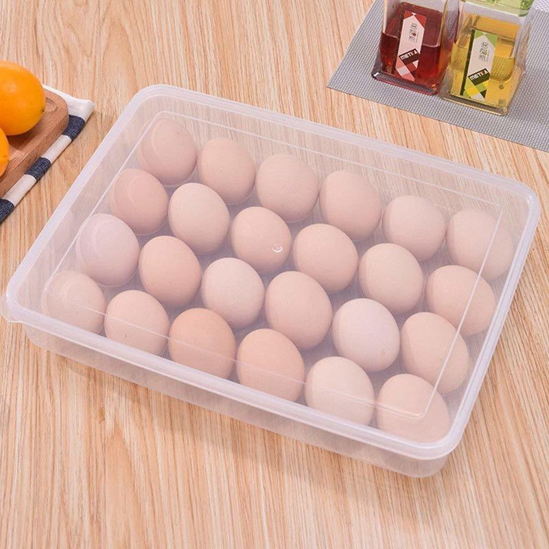 MOOZICO Plastic Egg Container - 2 dozen  (White)