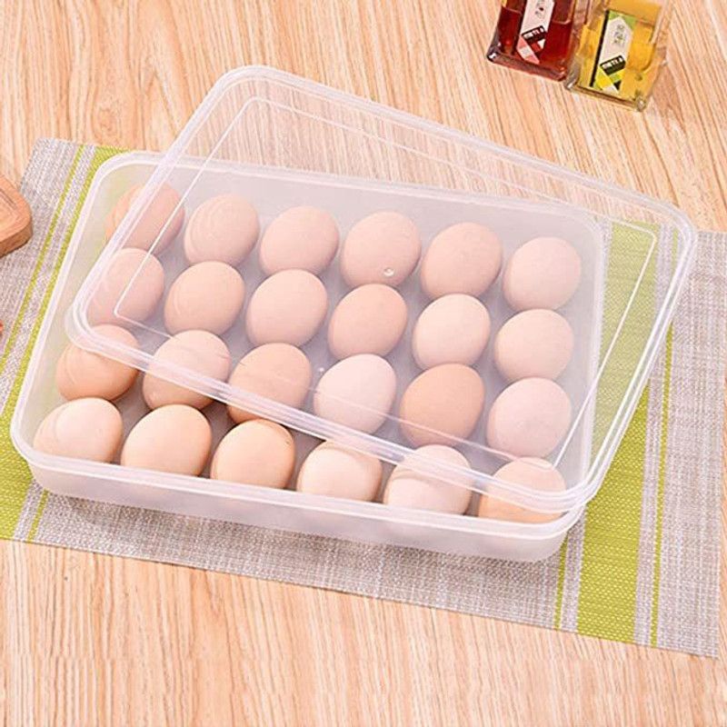 VERPHX Plastic Egg Container - 2 dozen  (Clear)
