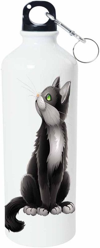 ShopBuzz Black Pussy Sipper Water Bottle 750 Ml 750 ml Bottle  (Pack of 1, Multicolor, Aluminium)