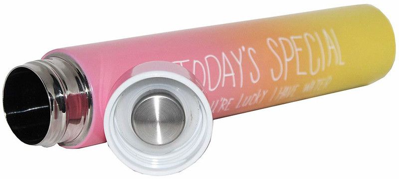 BENISON INDIA insulated Thermos Travel stainless Steel flask bottle Keep Drinks Hot&Cold 275 ml Bottle  (Pack of 1, Multicolor, Steel)