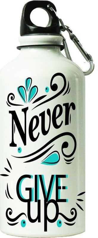 ShopBuzz Never Give Up Printed Sipper Bottle 600 ml Bottle  (Pack of 1, Multicolor, Steel)
