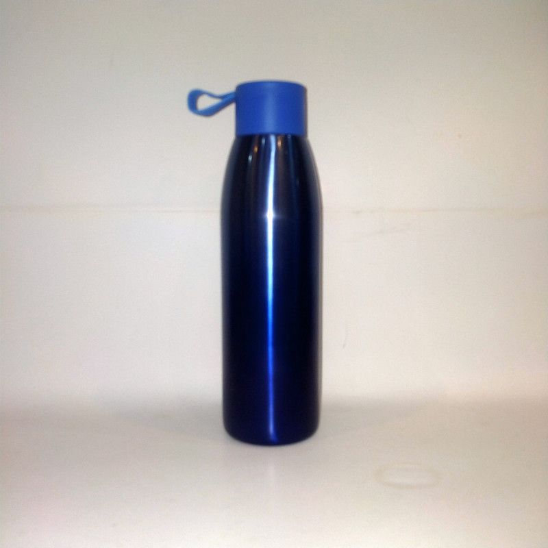 Lal Dayal Victor 550 ML 24 Hour's Hot & Cold 550 ml Flask  (Pack of 1, Multicolor, Steel)