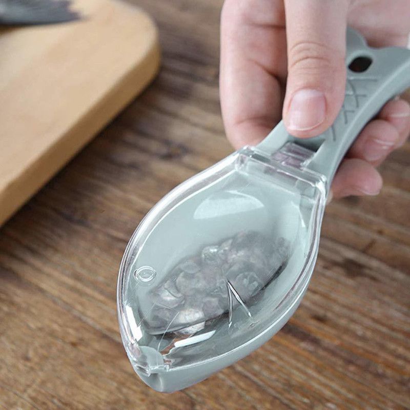 SeaRegal Fish Scale Remover Scrapper Scaler Cutter Cleaning Tools for Kitchen Home and Accessories Gadgets Items Fish Scaler  (Pack of 1)