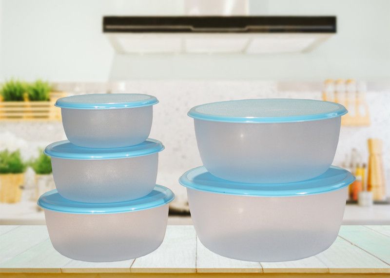 RFL - 275 ml, 480 ml, 720 ml, 1100 ml, 1575 ml Plastic Utility Container  (Pack of 5, Blue)